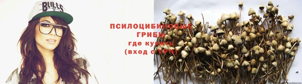 а пвп мука Майский